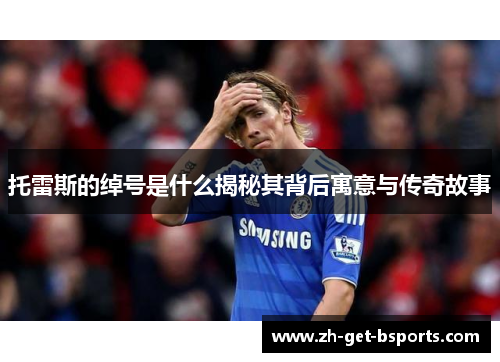 托雷斯的绰号是什么揭秘其背后寓意与传奇故事