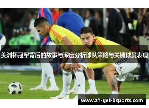 美洲杯冠军背后的故事与深度分析球队策略与关键球员表现