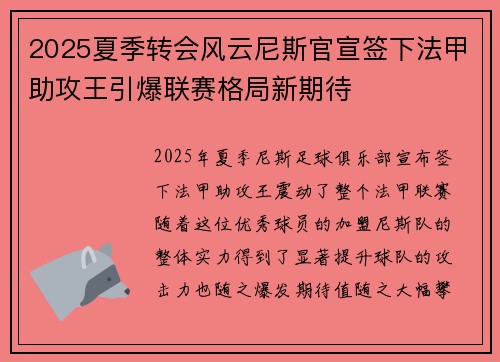 2025夏季转会风云尼斯官宣签下法甲助攻王引爆联赛格局新期待